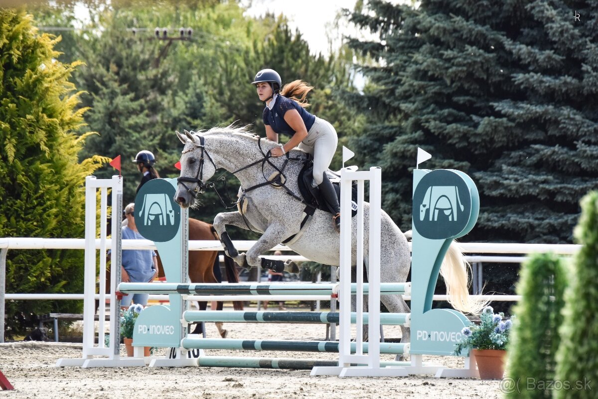 Obsadanie/výcvik koní/príprava na predaj - 20