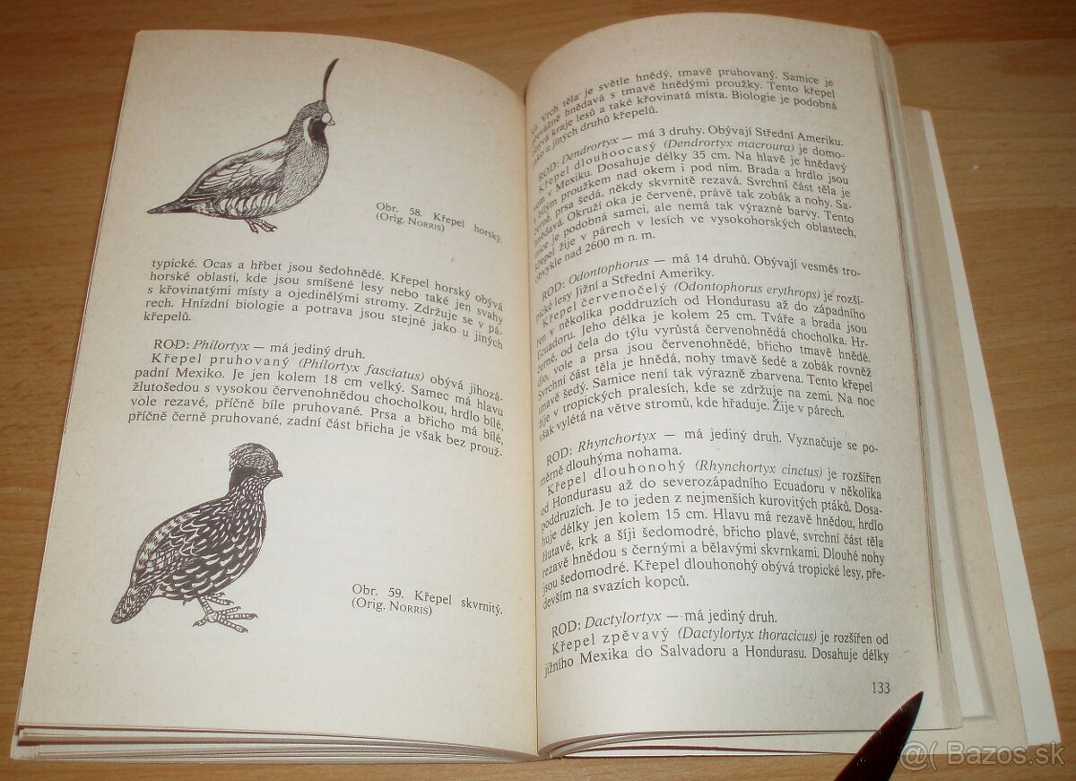 Bažanti a ostatní hrabaví - 20