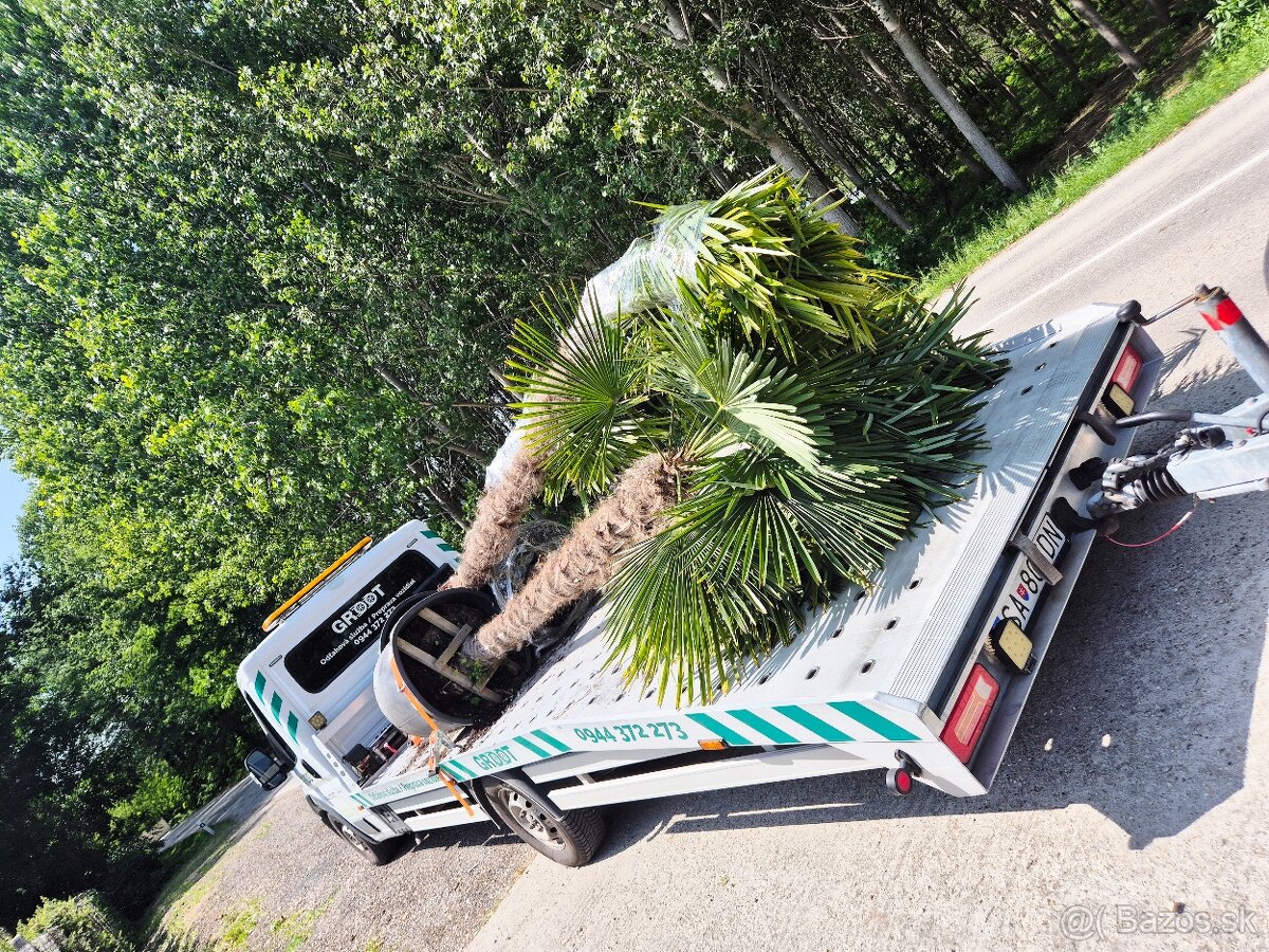 Odťahova služba Šaľa - 20