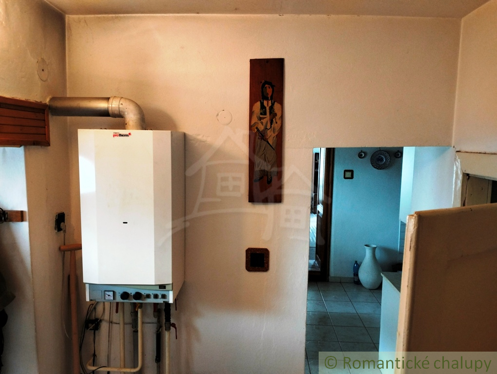 Historická vilka pod hradom Beckov na predaj - 20