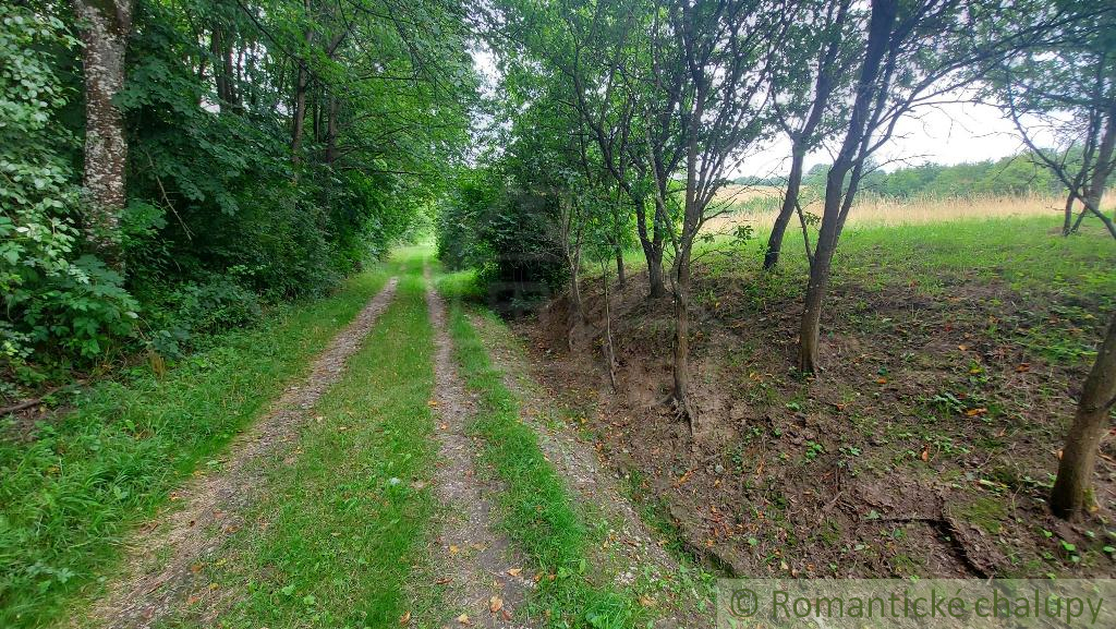 Malá chalúpka na polosamote, v blízkosti mesta Myjava, s v - 20