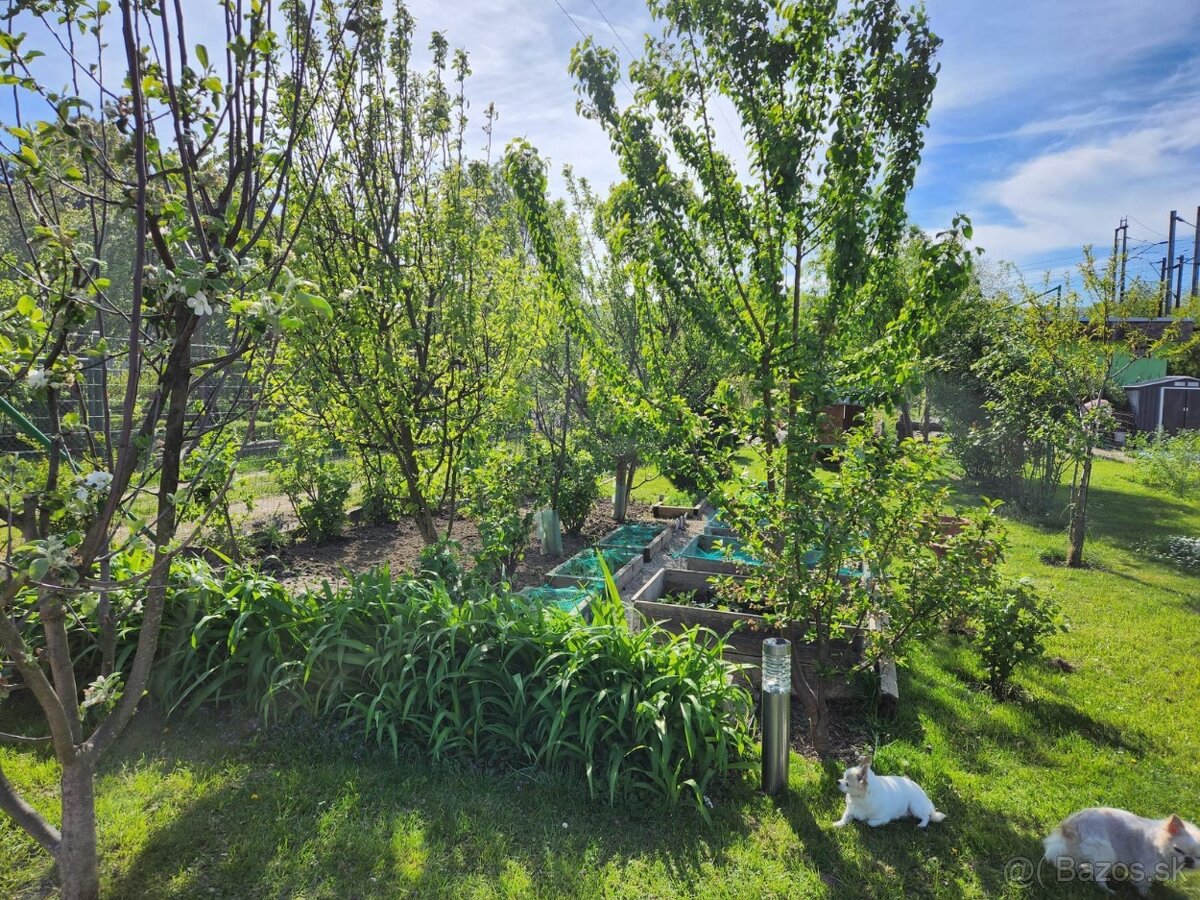 Predám 2 chatky - 20