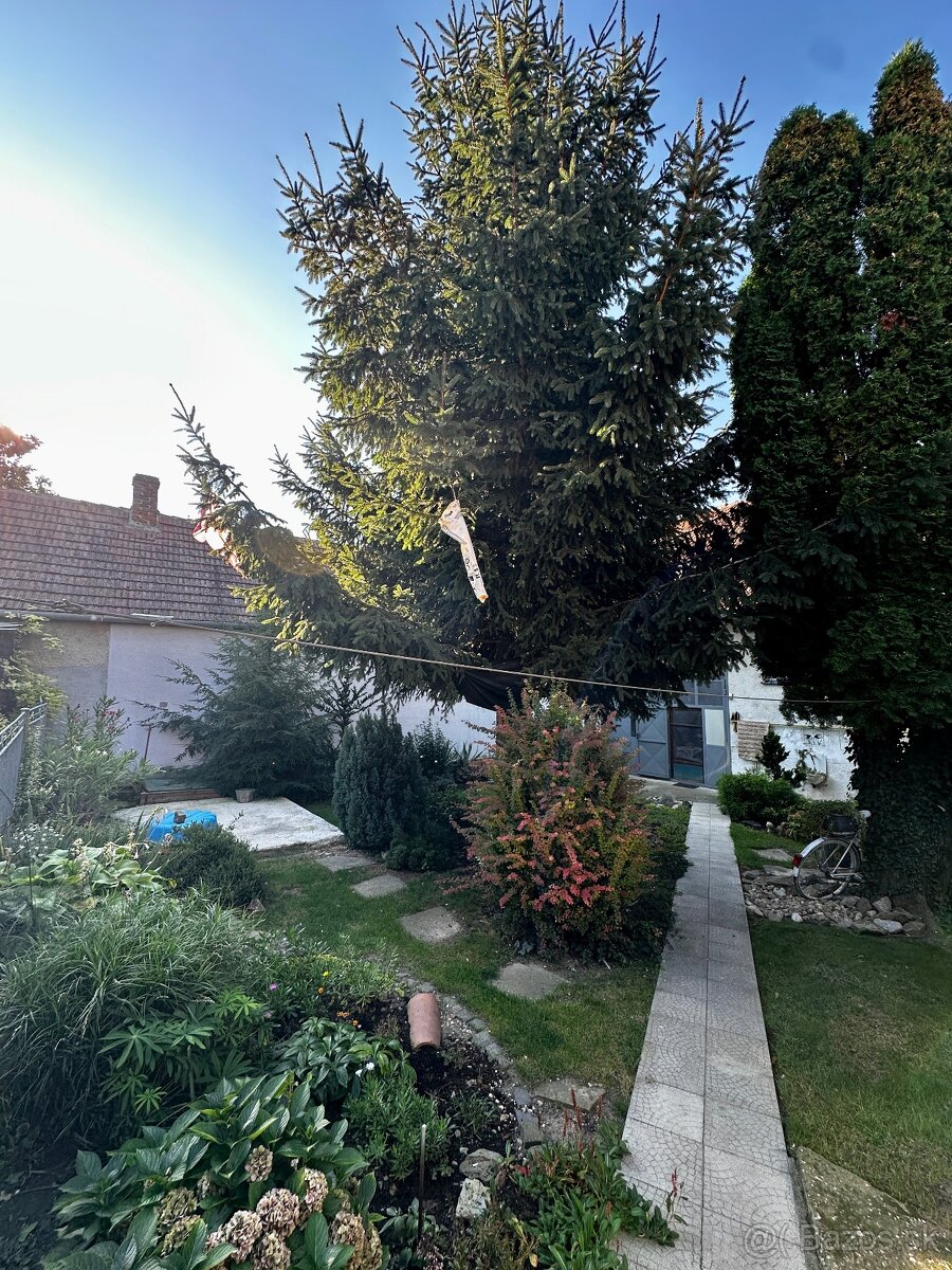 Pekný dom Popudinské Močidľany - 20