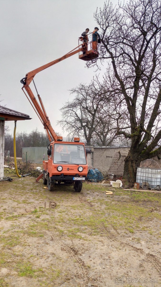 Pílenie a Orezávanie stromov - 20