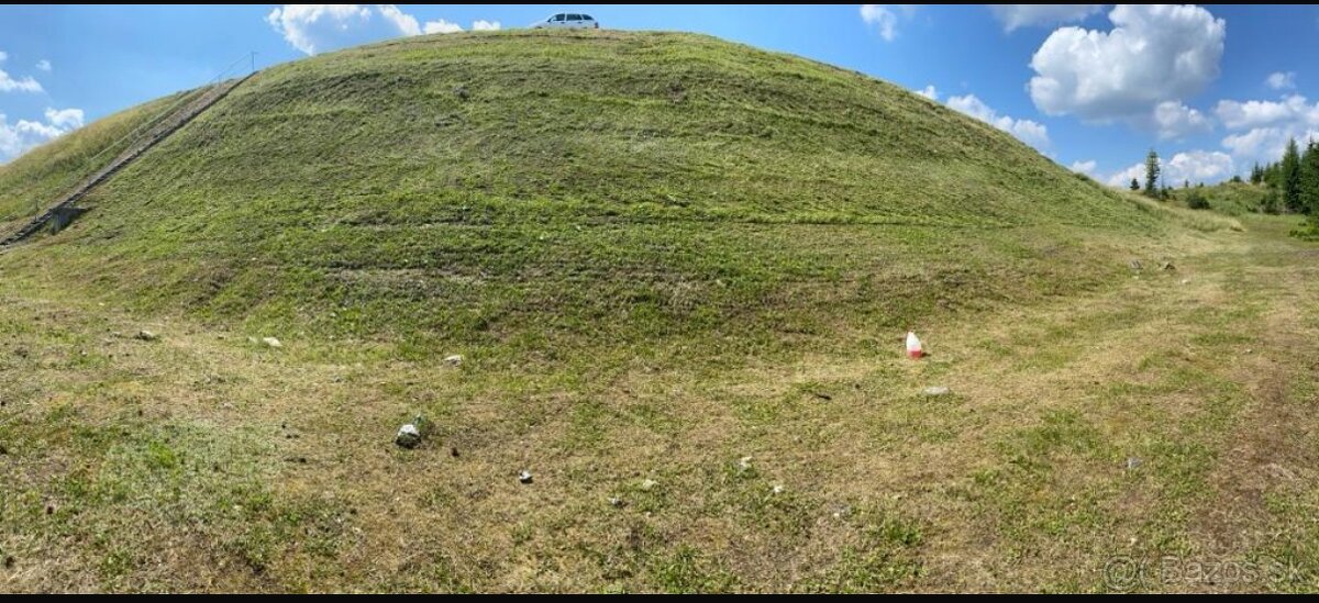 Kosenie-mulčovanie pozemkov//Pílenie//Orez stromov - 20