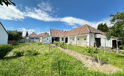 Rodinný dom s veľkým pozemkom a potenciálom – Siladice - 20