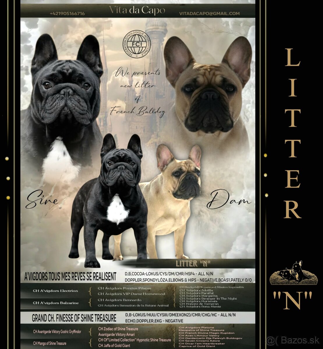 Francúzsky buldoček - 20