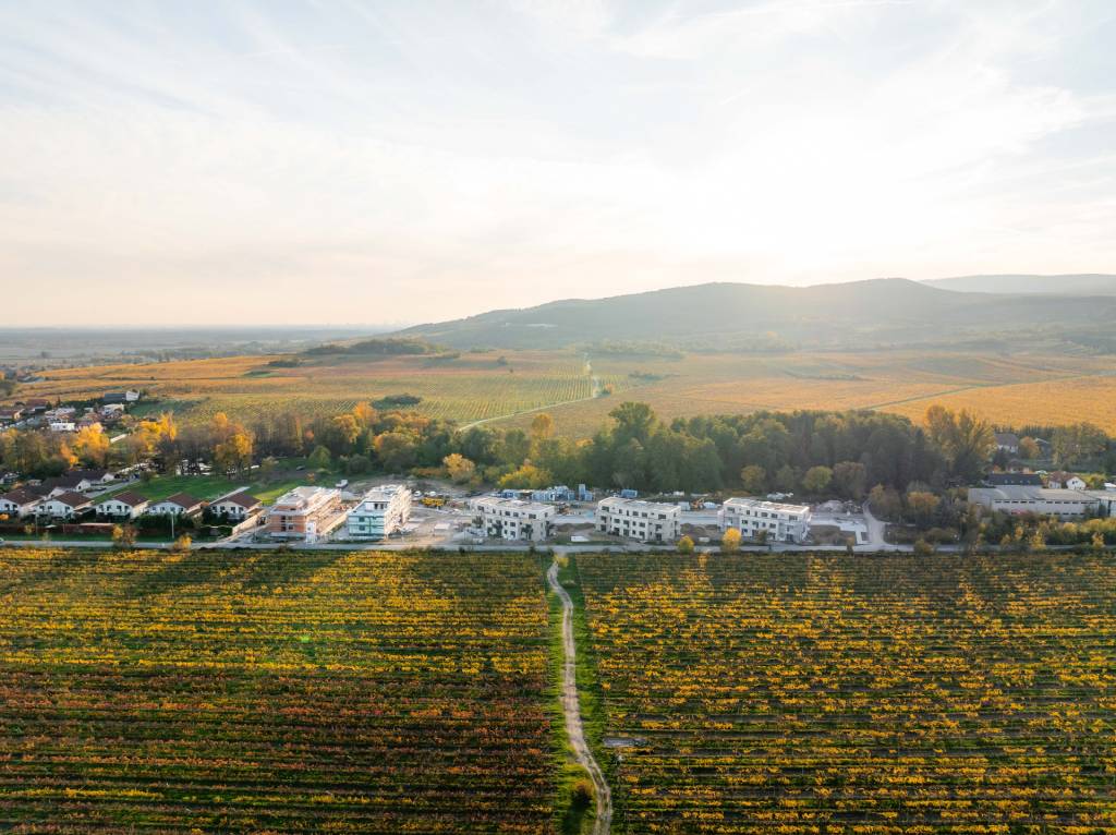 TOREA - ZELENÉ NIVY - 2i BYT S BALKÓNOM V BYT. DOME D - PEZI - 20