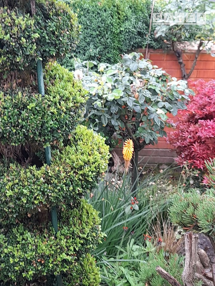 Výrazne znížená cena....Jedinečný rodinný dom v Šali/Veči - 20