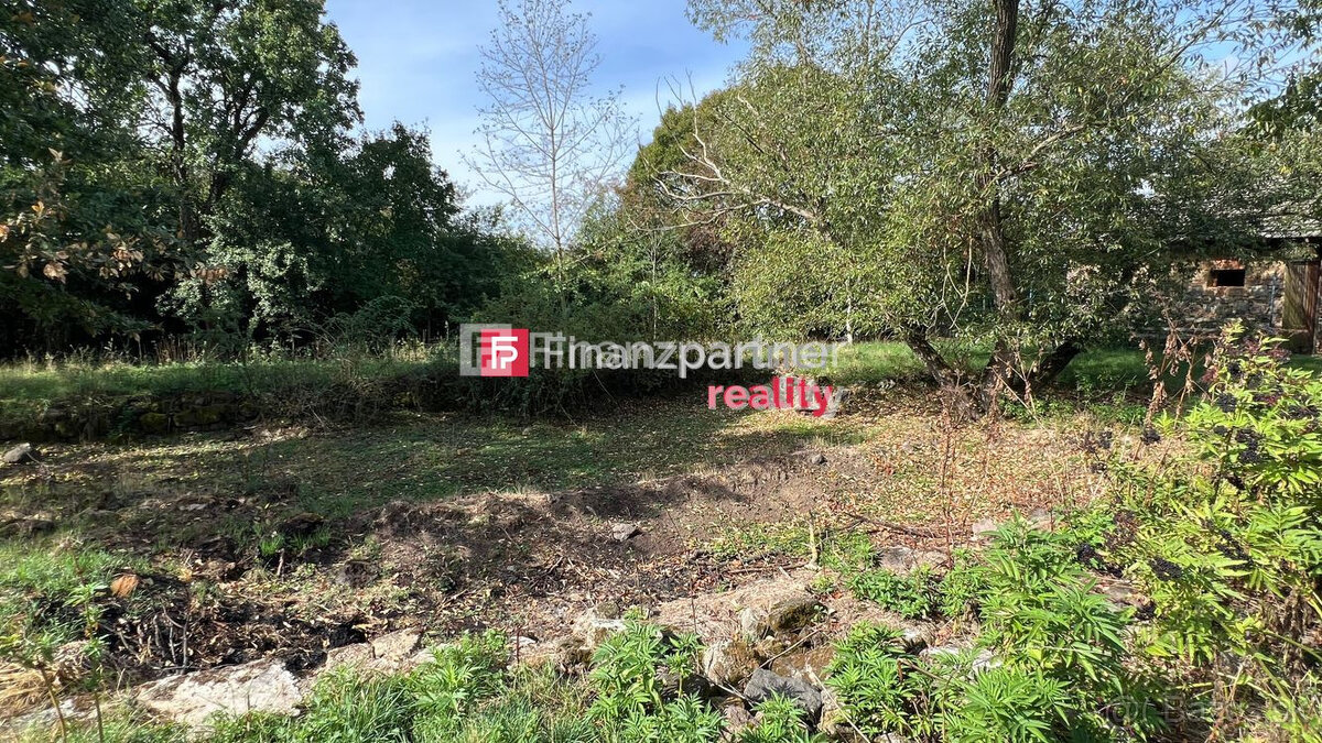 Usadlosť, pozemok 15000 m², Žemberovce, Levice - 20