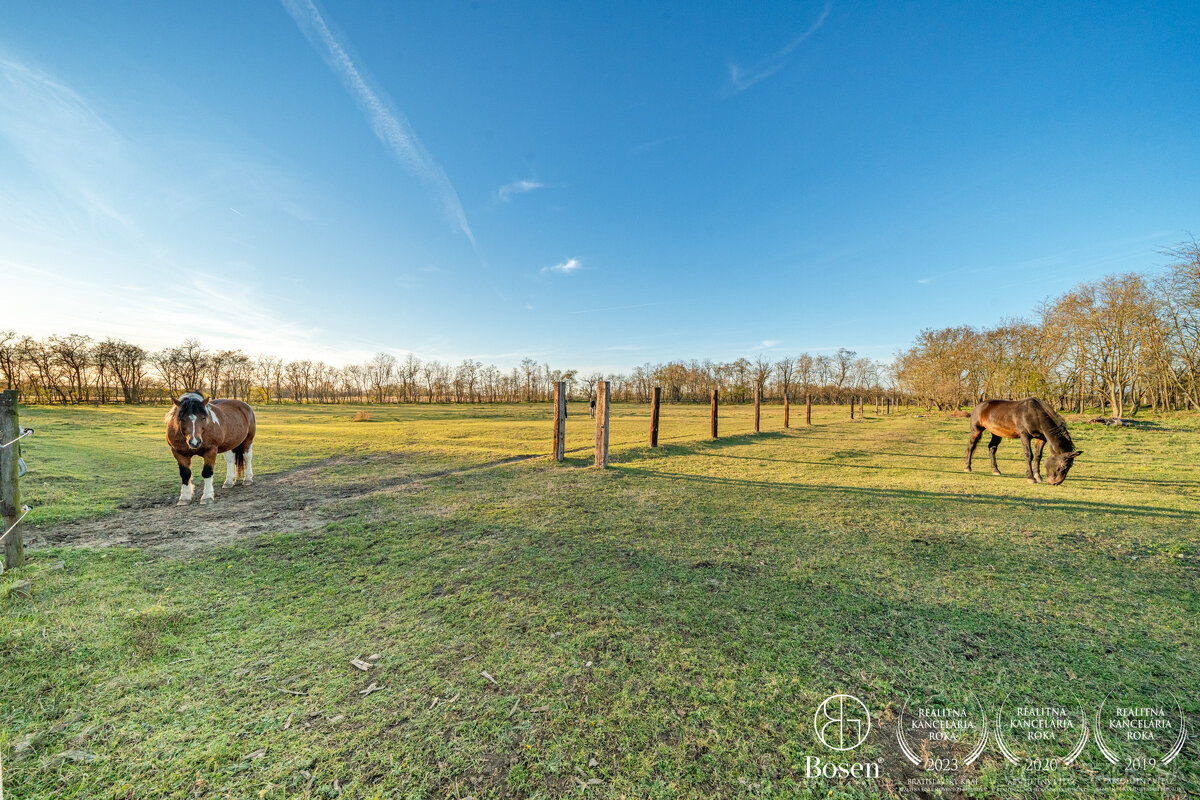 BOSEN | Farmárska usadlosť, RD, stajňa, 30 000 m² pozemok, l - 20