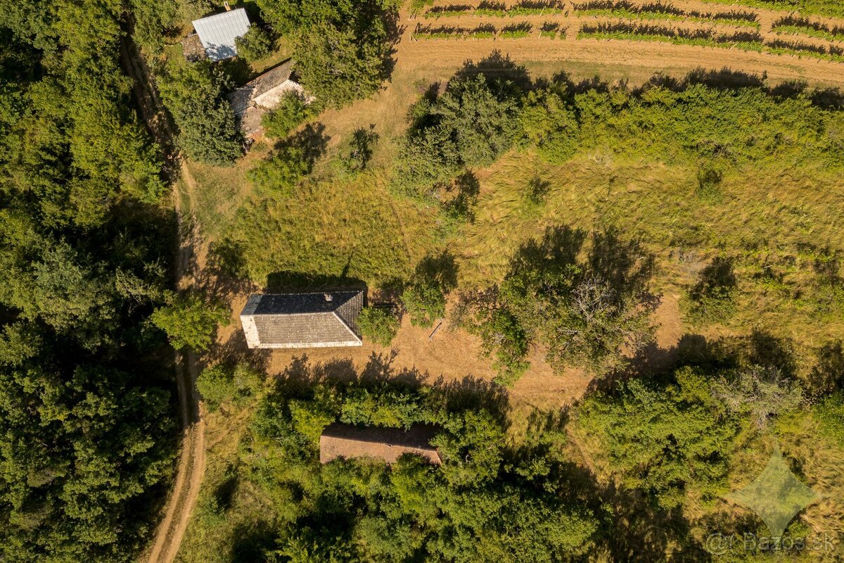 Viničný domček z roku 1878 - 20