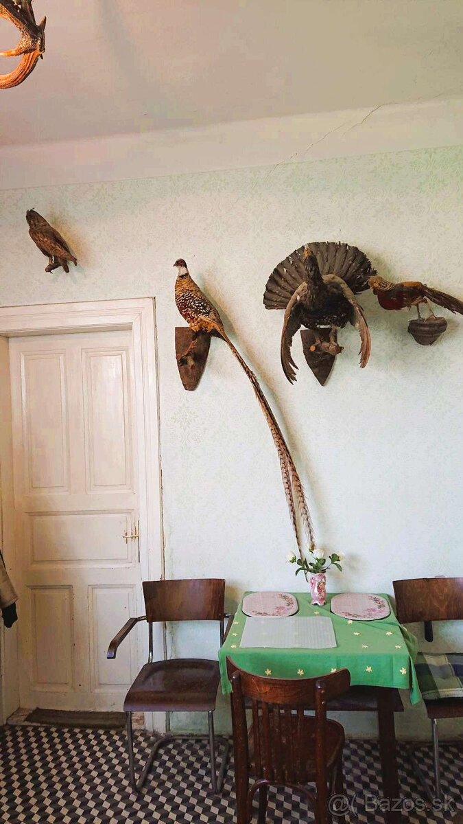 REZERVOVANÉ - Hontianske Moravce - rodinný dom, 2449 m2 - 20