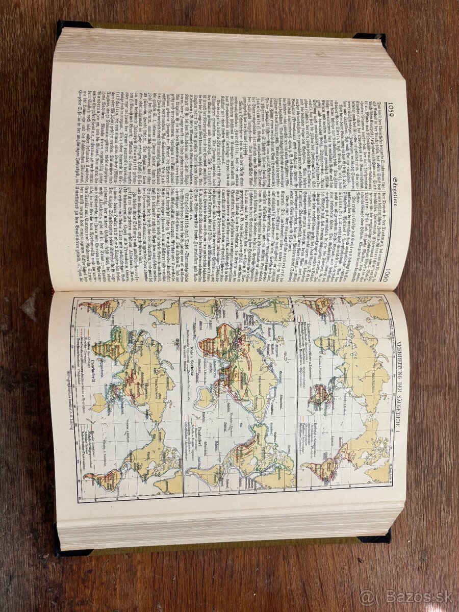 Meyer´s Lexikon - 20