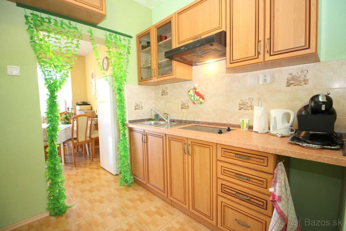 PREDAJ 1,5 izb. CHALÚPKA s poz. 583m² v SOLČANY - 20