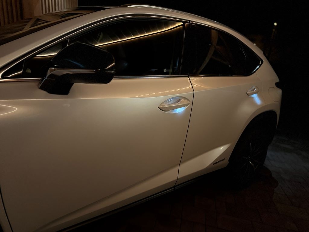 Lexus NX 300h 4x4 PRESTIEGE - 20