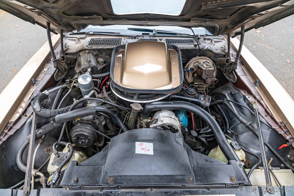 Pontiac Firebird 1977 - 20