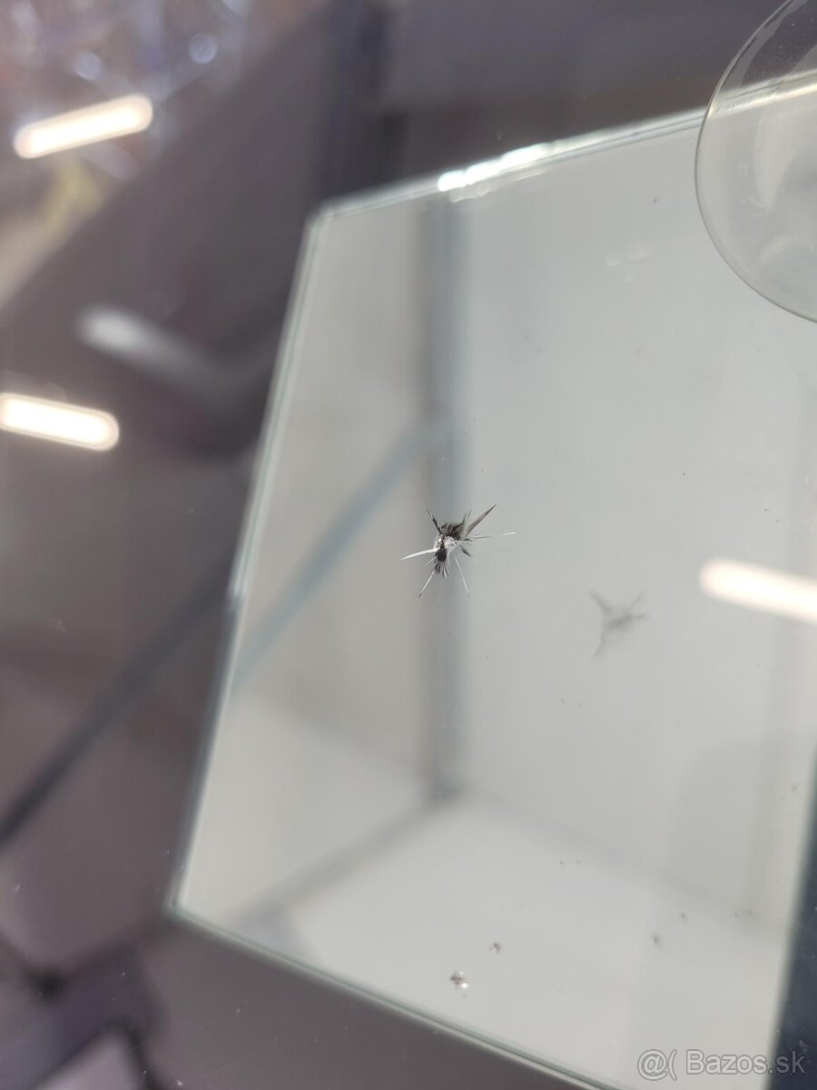 Profesionálna oprava a výmena autoskiel Bratislava - 20