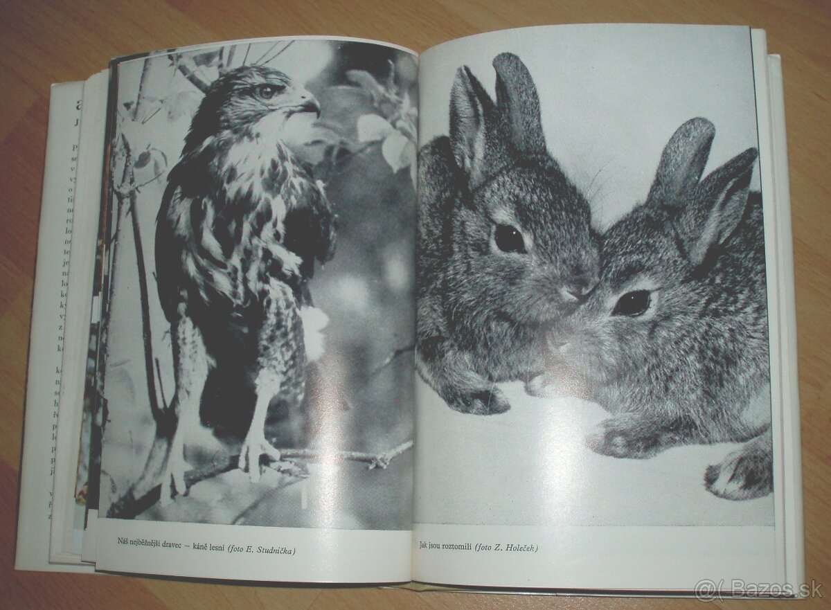 až zazní voláni - 20