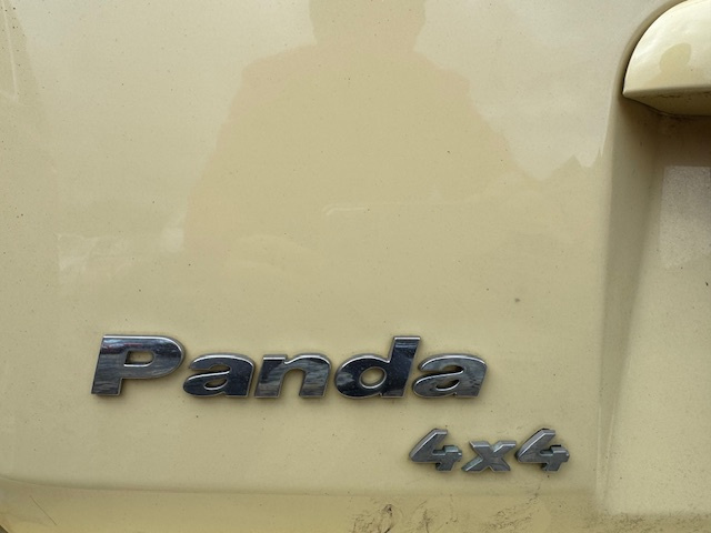 Fiat Panda 1.3 Multijet Trekking 4x4 - 20