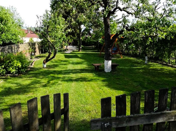 Dom pod storočnou hruškou - 20