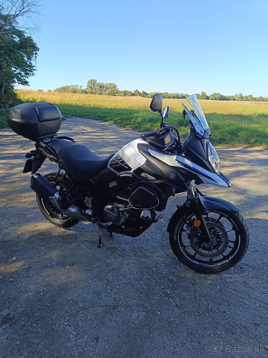 Suzuki v strom - 20