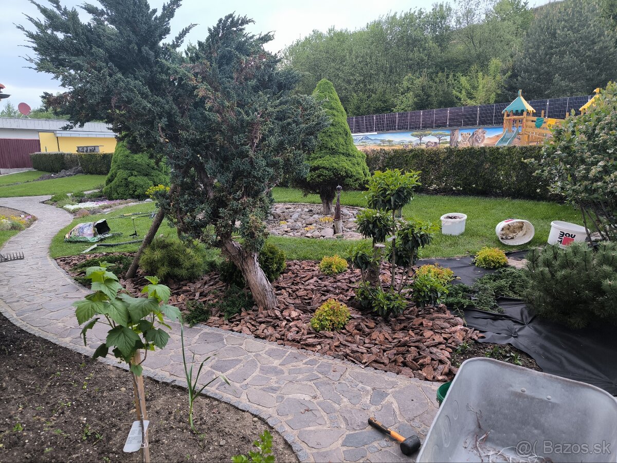 Záhrada zelená strecha rizikové rezanie stromov - 20