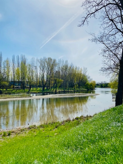 Poschodový dom na predaj s garážou, Trhová Hradská - 20