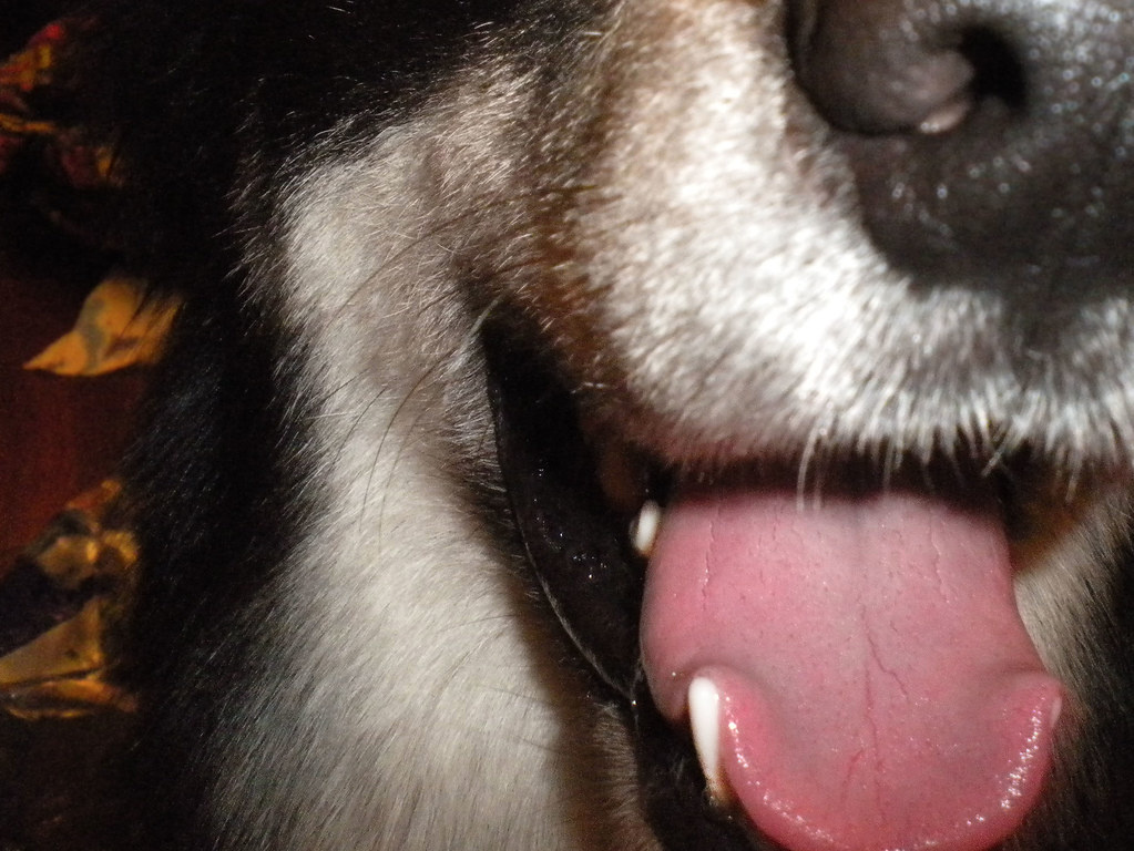 Nikon Coolpix S230 - 20