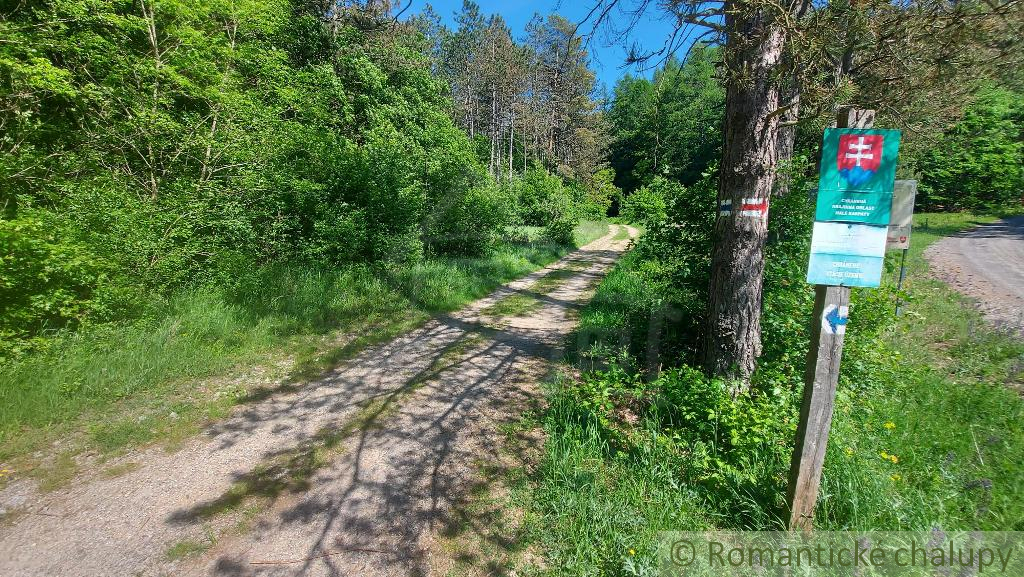 Malý domček pod lesom v mestečku Brezová pod Bradlom okr. - 20