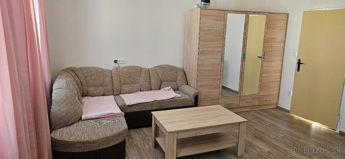 Prenájmem 1.izbový rodinný dom vo Viničnom... - 20