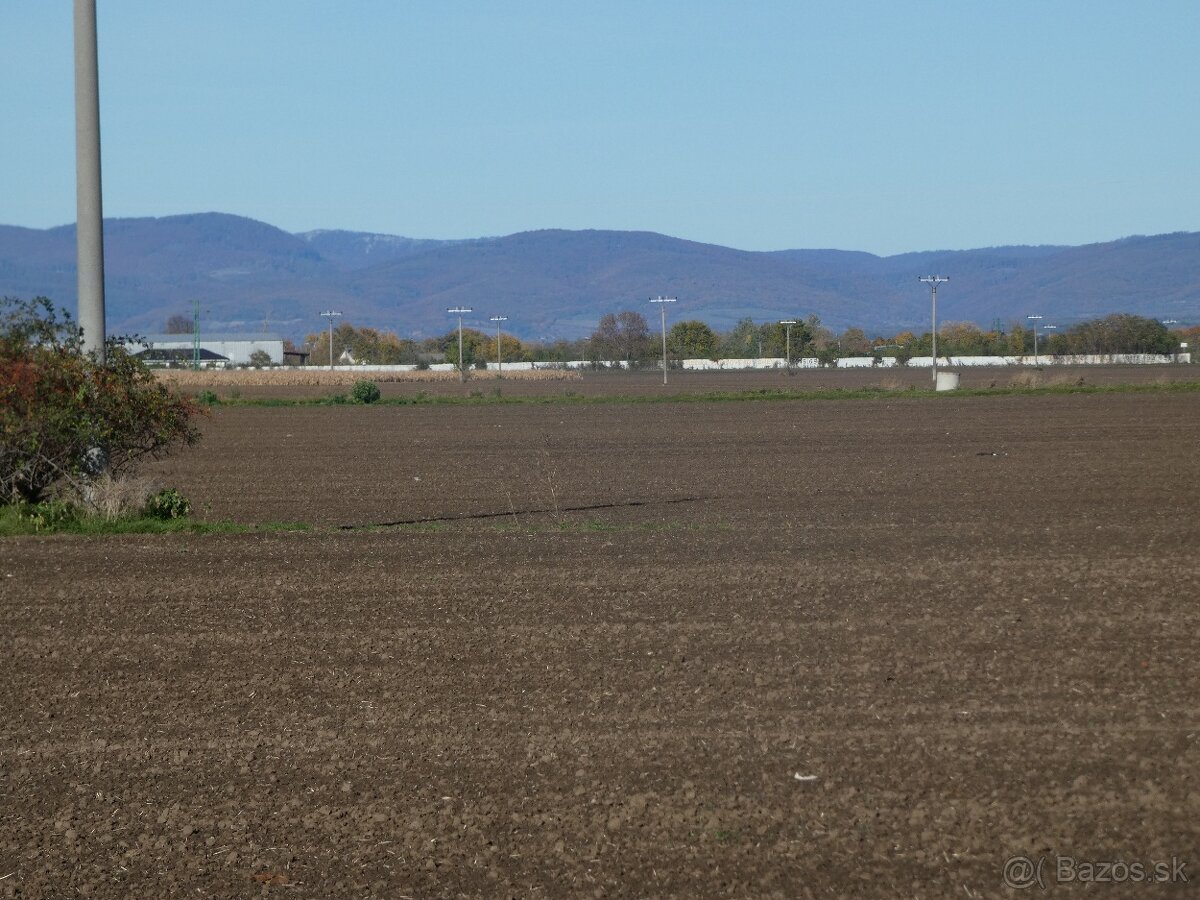 Rodinný dom vo Voderadoch - 20