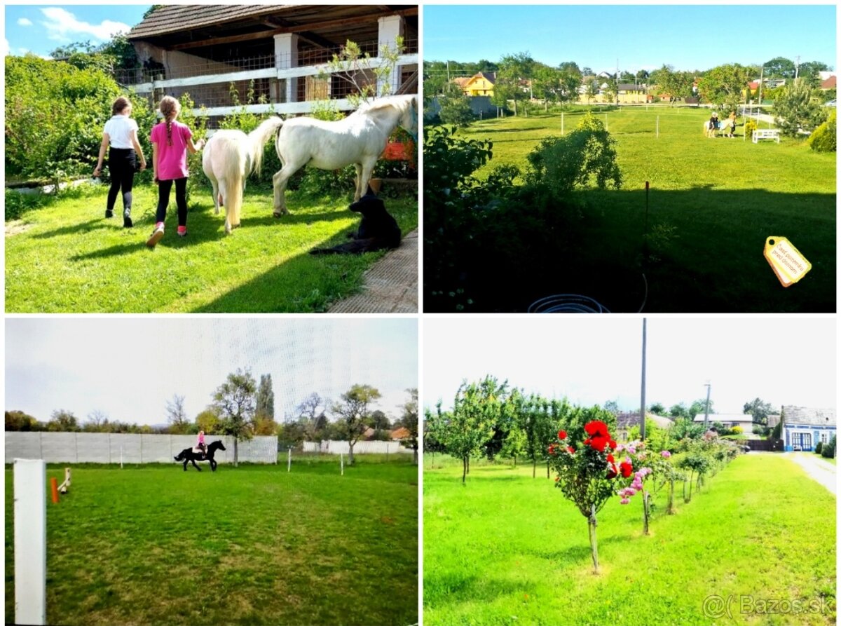 Na predaj areál, pozemok a dva domy v - 20