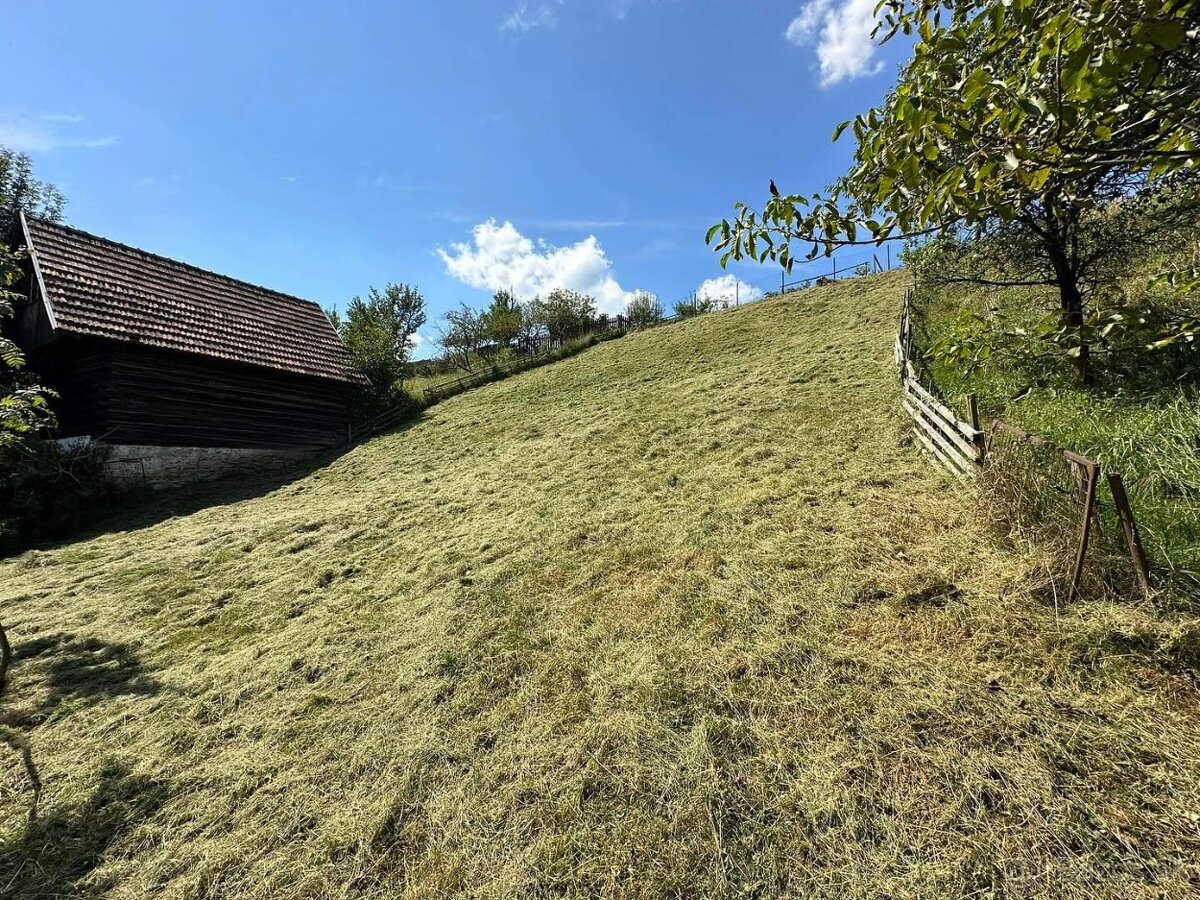 kosenie trávy,strihanie stromčekov- detail Grasscare - 20