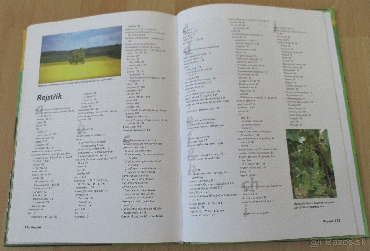 Řez ovocných stromu a keřu - 20