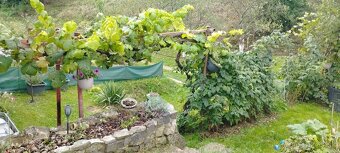 2. IZBOVÝ BYT + CHATA - priame centrum Bytča - 20