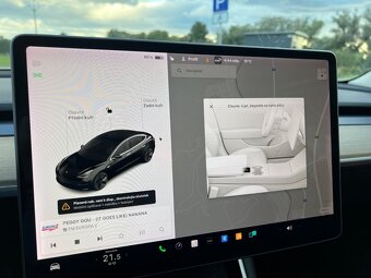 Tesla Model 3 Standard RANGE PLUS RWD - 20