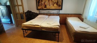 Predaj penziónu a chaty dražbou v obci Vinné - 20