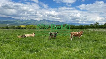 Pozemky Brezno-Podkoreňová 15083 m2 s perspektívou a krásnym - 20