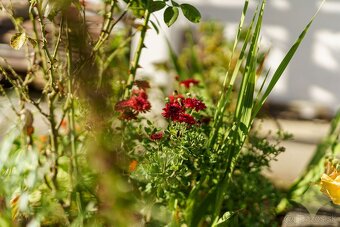 REZERVOVANÉ - Rodinný dom vo Vyhniach – ideálne bývanie pre - 20
