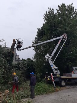 Pilenie stromov - 20