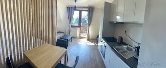 Apartmán v pavčinej lehote -Demänovská dolina-Jasná - 20