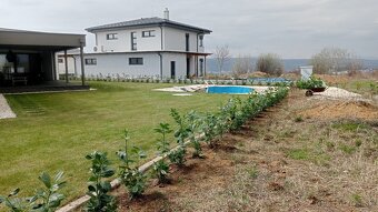 Tuja Smaragd, vavrínovec, červienka - Prešov - 20