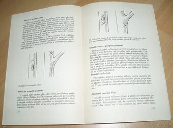 ez ovoných dřevin - 20