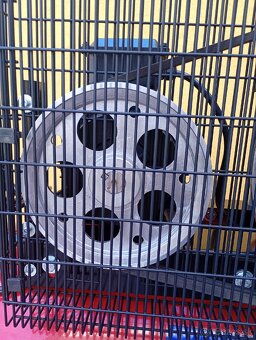 Kompresor taliansky FIAC 300/800 NOVY PROFI rada... - 20