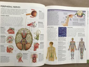 Nevedko, Osmijankove rozprávky, The Human Body Book - 20