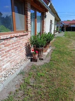 ALL INCLUSIVE | NA PREDAJ RODINNÉ DOMY NA 2300 M2 POZEMKU, V - 20