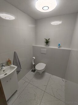 Obkladanie a dlaždenie - 20