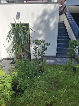 Čistenie fasád, dlažby, strechy, plotov, fotovoltaiky - 20
