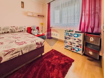 Rodinný dom s pozemkom 3 401 m2 - Malé Ripňany - na predaj - 20